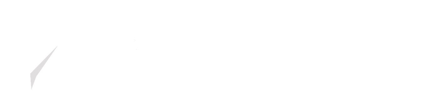 Flick Sender Logo